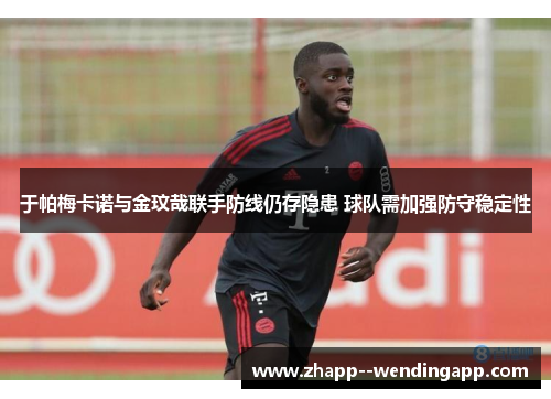 于帕梅卡诺与金玟哉联手防线仍存隐患 球队需加强防守稳定性